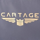 Термосумка Cartage Т-11, серая, 17-18 литров, 35х21х24 см 7345223 Термосумка Cartage Т-11, серая, 17-18 литров, 35х21х24 см 7345223