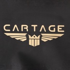 Термосумка Cartage Т-10, черная, 17-18 литров, 35х21х24 см 7345222 Термосумка Cartage Т-10, черная, 17-18 литров, 35х21х24 см 7345222