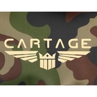 Термосумка Cartage Т-13, зеленый камуфляж, 10 литров, 26х19х19 см 7345225 Термосумка Cartage Т-13, зеленый камуфляж, 10 литров, 26х19х19 см 7345225