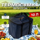 Термосумка Cartage Т-16, синяя, 10 литров, 26х19х19 см 7345228 - фото 104970