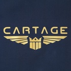 Термосумка Cartage Т-16, синяя, 10 литров, 26х19х19 см 7345228 Термосумка Cartage Т-16, синяя, 10 литров, 26х19х19 см 7345228