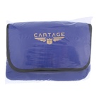 Термосумка Cartage Т-16, синяя, 10 литров, 26х19х19 см 7345228 Термосумка Cartage Т-16, синяя, 10 литров, 26х19х19 см 7345228