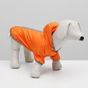 Куртка-ветровка для животных, светоотражающая, L (ДС 28-30, ОШ 28-30, ОГ 40-42 см), оранжевая 733191