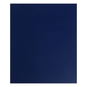 Альбом вертикальный для марок «Стандарт», 230 x 270 мм, (бумвинил, узкий корешок) с комплектом листов 5 штук, синий