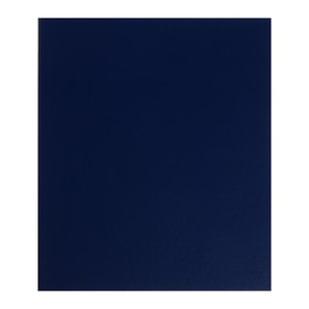 Альбом для монет «Стандарт», 230 х 270 мм, Optima, без листов, синий