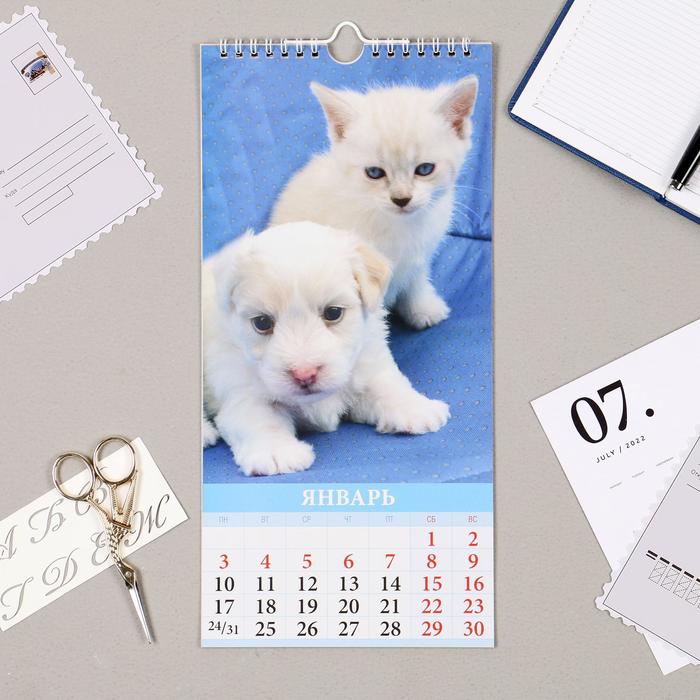 Котята Новые Серии 2022 Года Котята Новые Серии 2022 Года