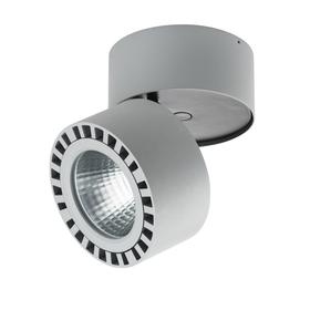 Светильник Forte, 35Вт LED, 3500лм, 3000К, цвет серый, IP65