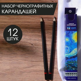 {{photo.Alt || photo.Description || 'Набор чернографитных карандашей 12 шт Van Gogh'}}