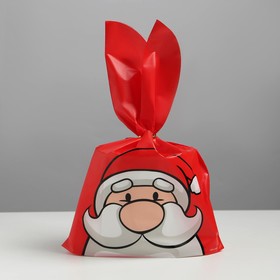 Мешок подарочный «Дед Мороз», 21 × 33 см