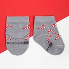 Набор новогодних носков Крошка Я "Пингвин", 2 пары, 6-8 см - фото 800156502