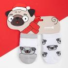 Набор носков Крошка Я "Мопс", 2 пары, 8-10 см - фото 800156563