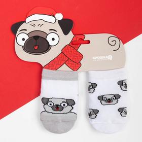 Набор носков Крошка Я "Мопс", 2 пары, 8-10 см