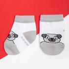 Набор носков Крошка Я "Мопс", 2 пары, 8-10 см - фото 800156565