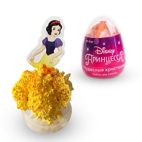 Яйцо-сюрприз "Вырасти кристалл", набор для опытов, Принцессы МИКС