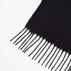 Палантин женский текстильный, цвет чёрный, размер 70х180 - фото 14820