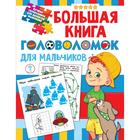 Большая книга головоломок для мальчиков 7427530 - фото 7042334