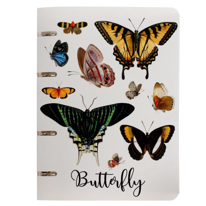 Тетрадь на 4-х кольцах А5, 80 листов в клетку Butterfly, пластиковая обложка, блок офсет