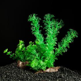 Растение искусственное аквариумное, 18 см (2 шт)