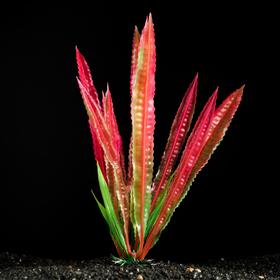 Растение искусственное аквариумное, 4 х 20 см (5 шт)