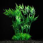 Растение искусственное аквариумное, 22 см, зелёное - фото 3667846
