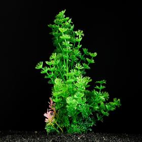 Растение искусственное аквариумное, 6 х 24 см (4 шт)