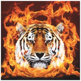 Портрет "Тигр в огне - 2", 30 х 30 см
