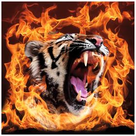 Портрет "Тигр в огне", 30 х 30 см