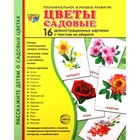 Набор карточек. Цветы садовые. 16 демонстрационных картинок - фото 5092305