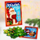Развивающий набор с играми «Посылка от Деда Мороза» - фото 747836