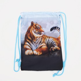 Мешок-рюкзак новогодний, 21 × 29 см, отдел на шнурке, цвет голубой, «Тигр»
