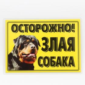 Табличка ламинированая "Осторожно! Злая собака" Ротвейлер