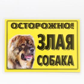 Табличка ламинированая "Осторожно! Злая собака" Кавказец