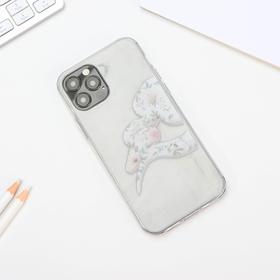 Case for iPhone 12, 12 Pro 