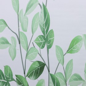 Штора рулонная «Ветви», блэкаут, 120×200 см