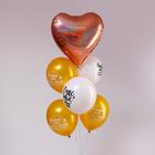 Букет из воздушных шаров «С Днём Рождения», милая фея, латекс, фольга, набор 6 шт. - фото 6783557