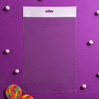 Пакет с липкой лентой, прозрачный 20 х 25/4 см, 25 мкм, еврослот 6912488