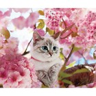 Алмазная мозаика с полным заполнением «Котик на дереве» 50х60 см - фото 6783899
