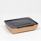 Упаковка, салатник с прозрачной крышкой, 22 х 16 х 5,5 см, 1 л - фото 3776739