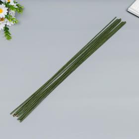 Проволока для творчества "Астра" d 3 мм, 60 см, 10шт, зелёный