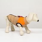 Куртка для собак на молнии, размер 8 (ДС 23 см, ОГ 30, ОШ 22 см), бежевая с оранжевым - фото 800247740