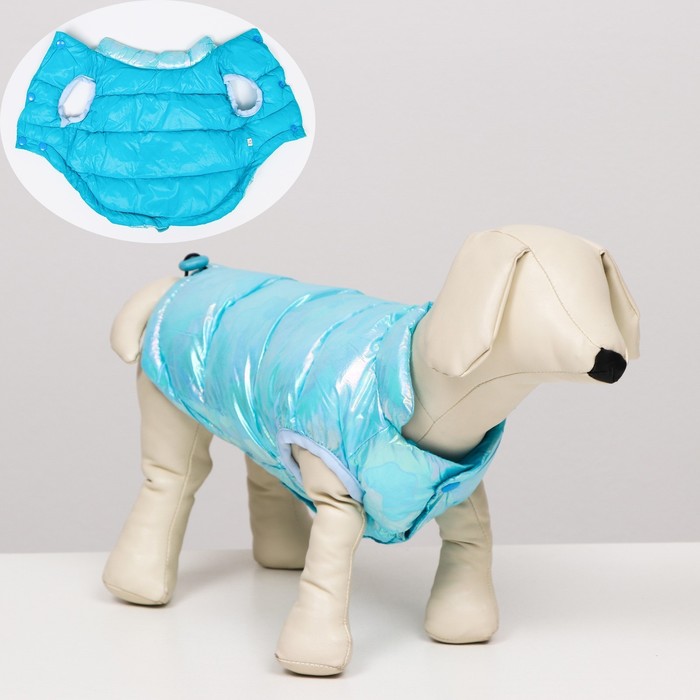 Куртка для собак двухсторонняя с утяжкой,  размер 8 (ДС 23 см, ОГ 30, ОШ22 см), голубая - фото 800247758