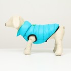 Куртка для собак двухсторонняя, XS22 (ДС 22 , ОШ 19 , ОГ 34 ), бирюзовая/салатовая - фото 800248039