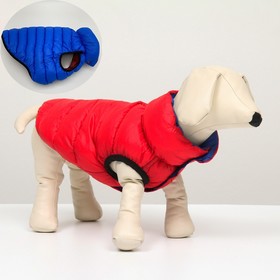 Куртка для собак двухсторонняя с воротником , XS22 (ДС 22, ОШ 19, ОГ 34), красная/синяя
