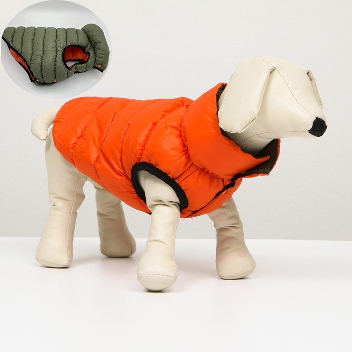 Куртка для собак двухсторонняя с воротником , XS22 (ДС 22, ОШ 19, ОГ 34),оранжевая/зелёная - фото 800248112