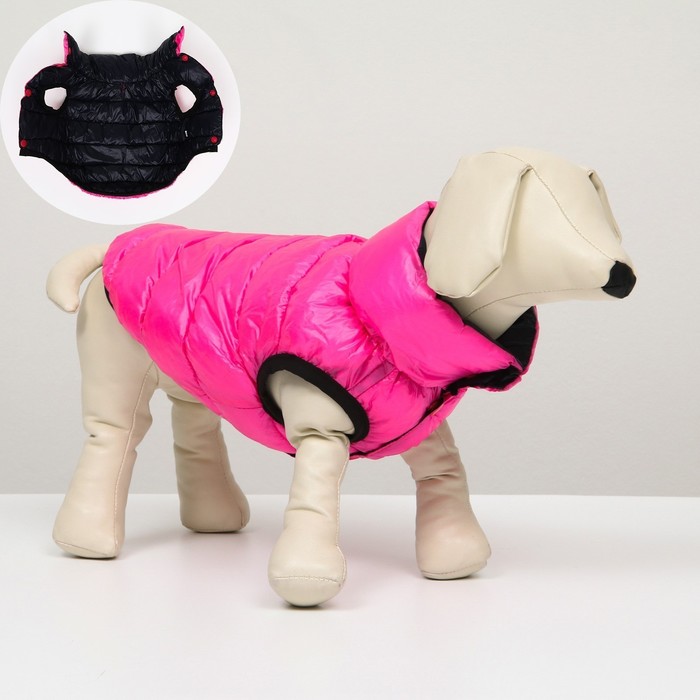 Куртка для собак двухсторонняя с воротником , XS22 (ДС 22,ОШ 19,ОГ 34),розовая/тёмно-синяя - фото 800248126