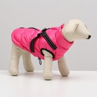 Куртка для собак со шлейкой, размер 12 (ДС 28 см, ОГ 38 см, ОШ 27 см), розовая - фото 3805425