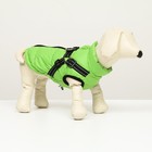 Куртка для собак со шлейкой,  размер 8 (ДС 23 см, ОГ 30 см, ОШ 22 см), салатовая - фото 800248166
