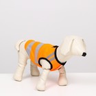 Светоотражающий жилет для собак, размер 14 (ДС 32 см, ОГ 42 см, ОШ 31 см),  оранжевый - фото 3805654