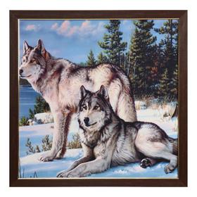 Картина велюр "Два волка" 70х70 (73х73)см
