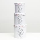 Набор круглых коробок 3 в 1 "Белая принцесса", 19,5 x 19 - 15,5 x 15 см 7128479